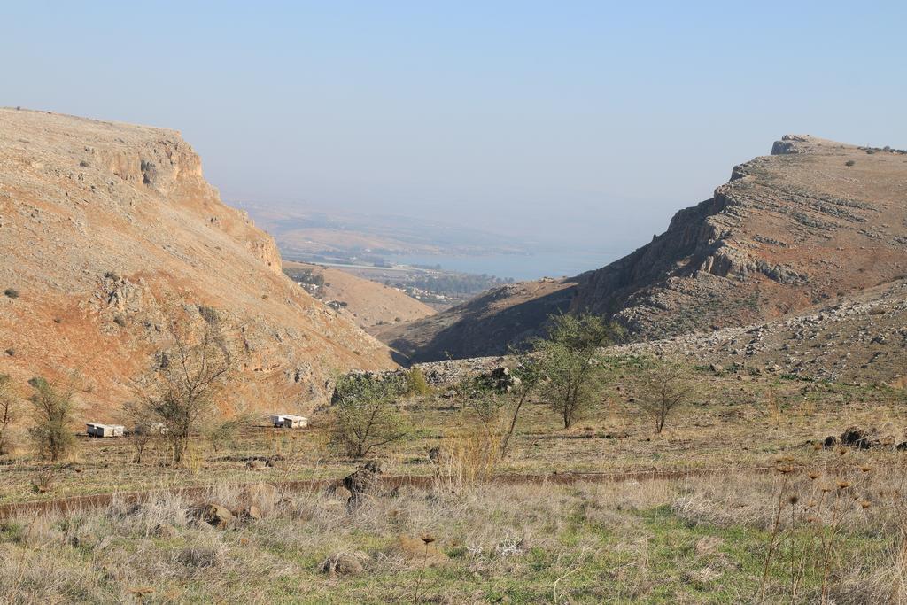 בית הארחה שווייץ בארבל חדר תמונה